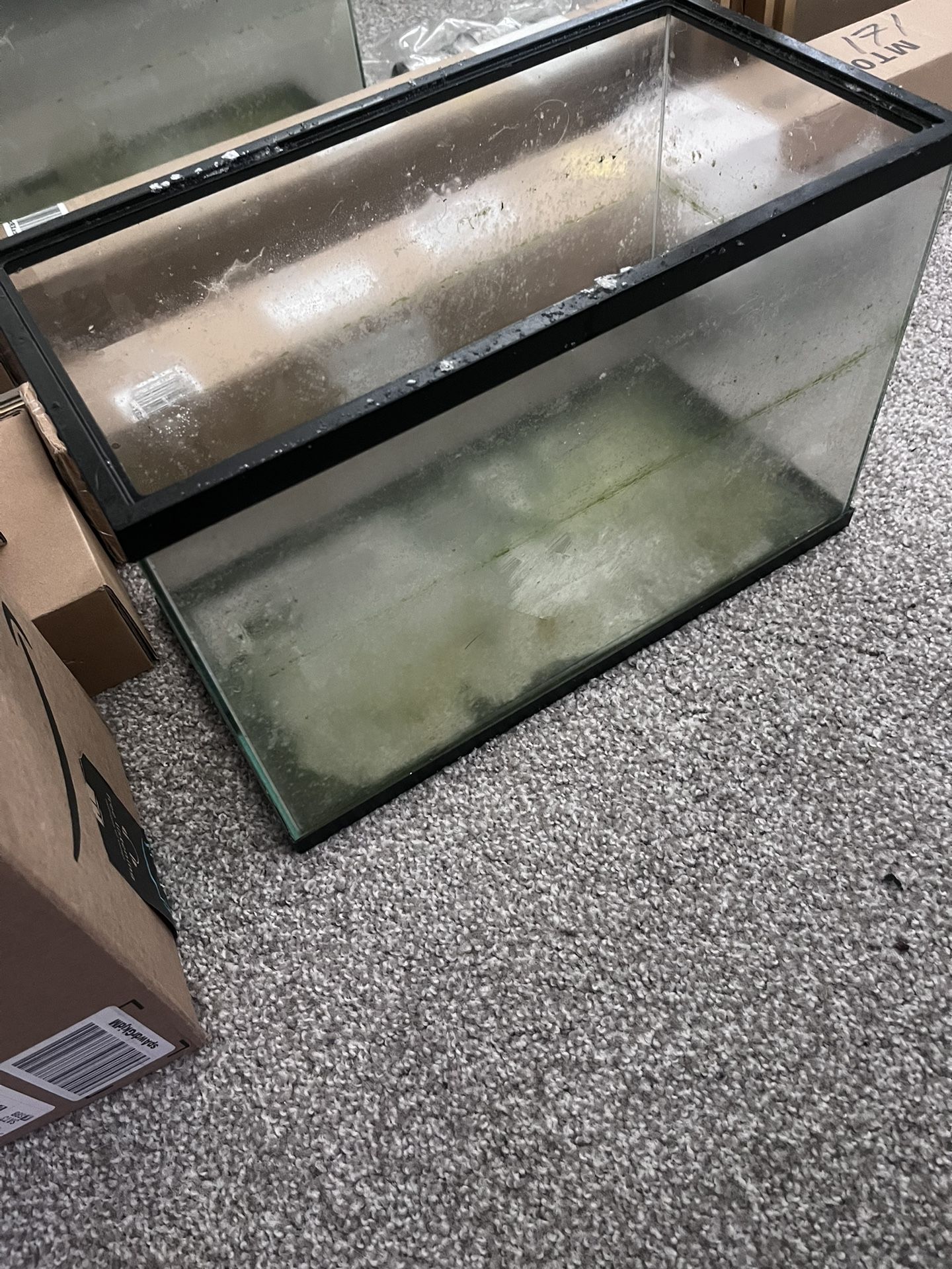 5 Gallon Aquarium