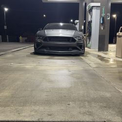 Cervinis C-series Grille For 18-23 Mustangs