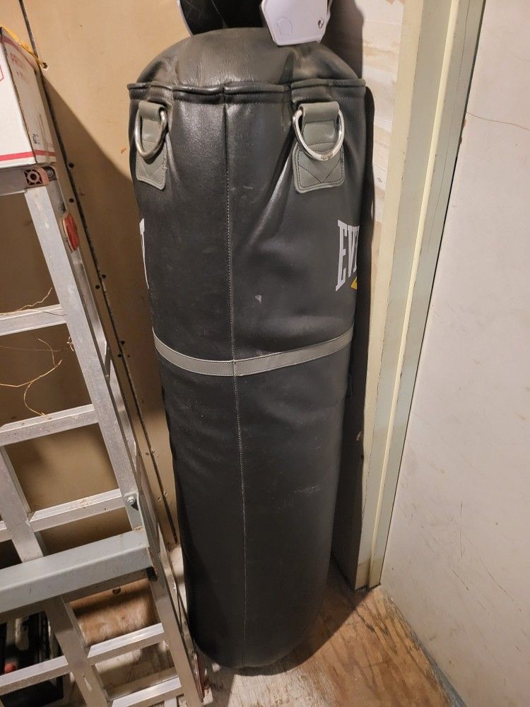 Everlast Punching Bag