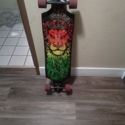 Santa Cruz Long Board Lion God Rasta Drop