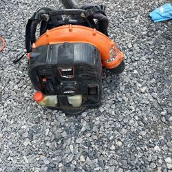 Backpack Blower ECHO