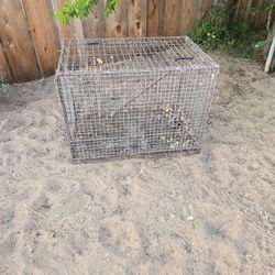 Cage