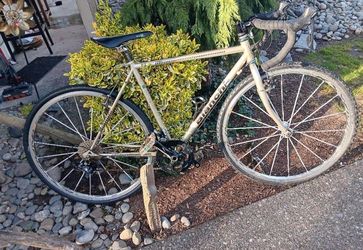Bianchi Volpe D2 gravel bike