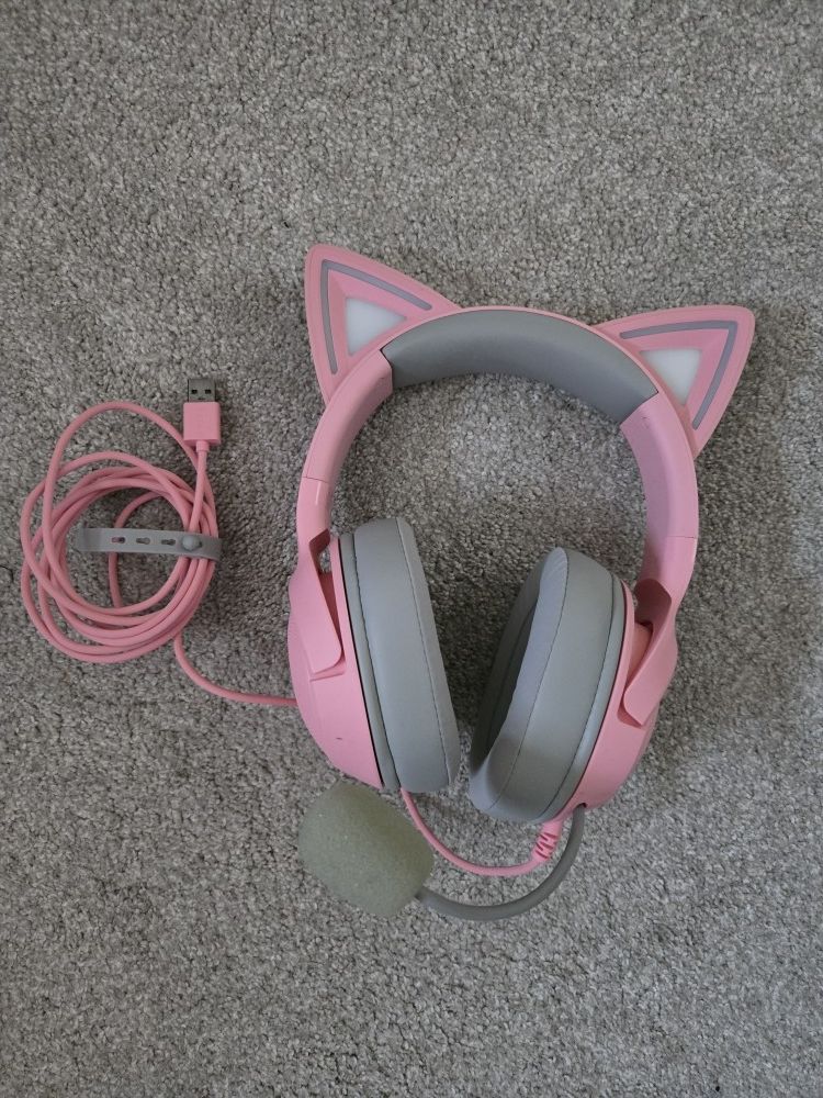 USB Connection Headphones With Mic