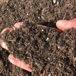 Top Soil