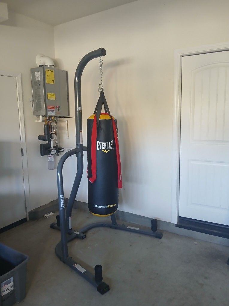 Everlast Punching Bag
