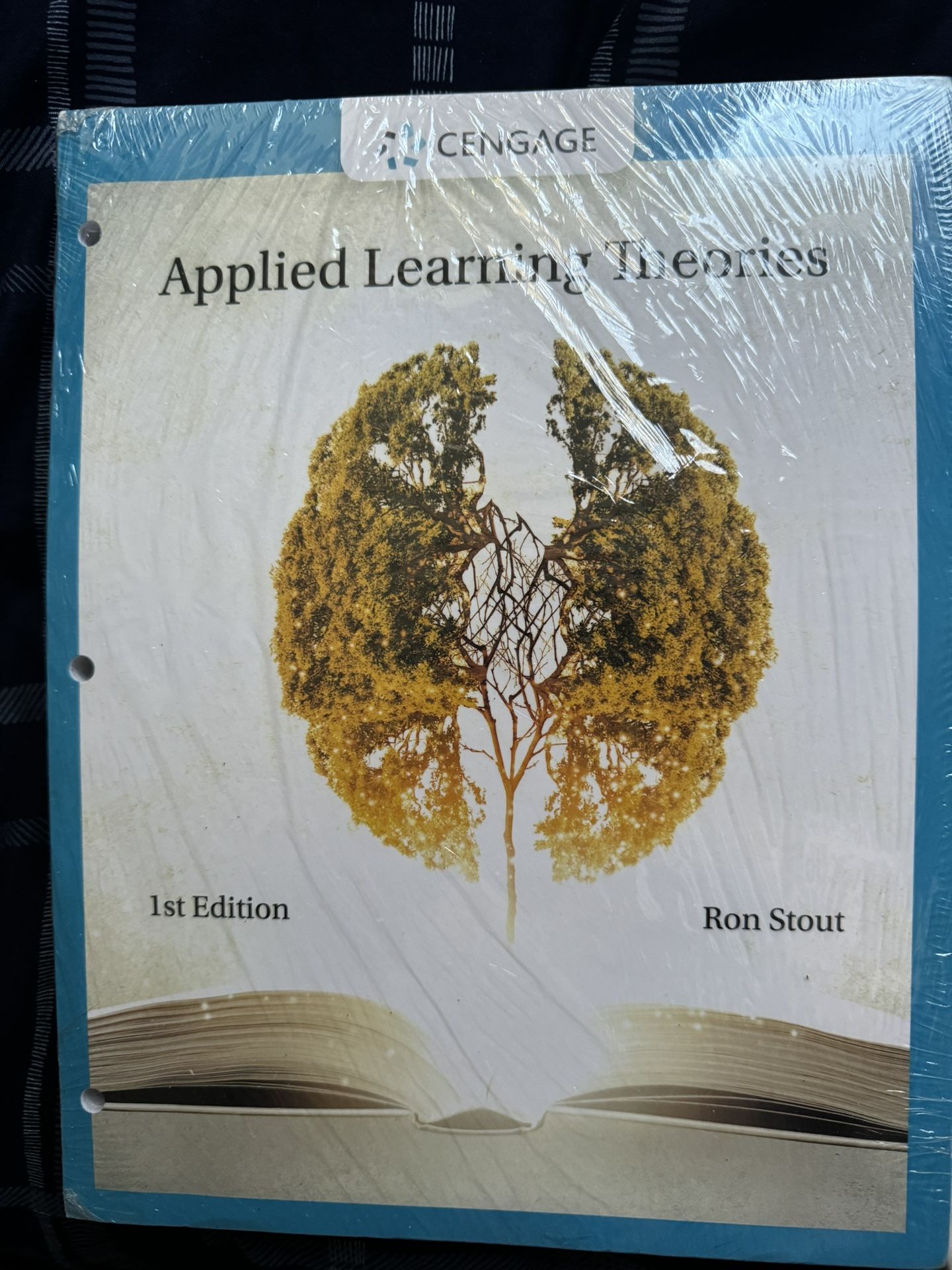 Applied Learning Theories 1st Edition by Ron Stout (Brand New).