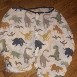 Cotton Muslin Car Seat Canopy - Dino Friends