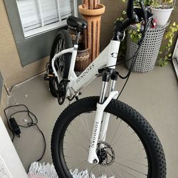 SONDORS ebike