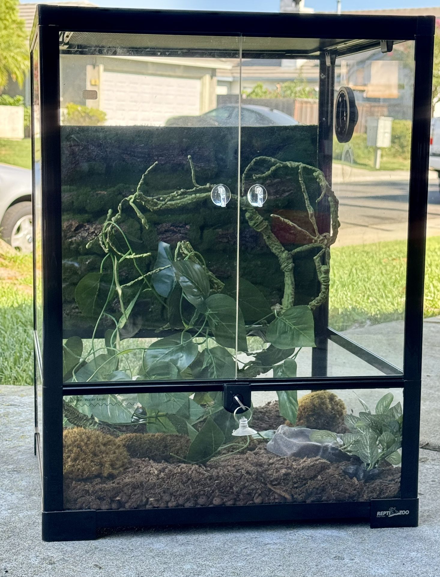 Glass Terrarium (Reptile, Amphibian, Plants)