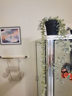 Bathroom bundle