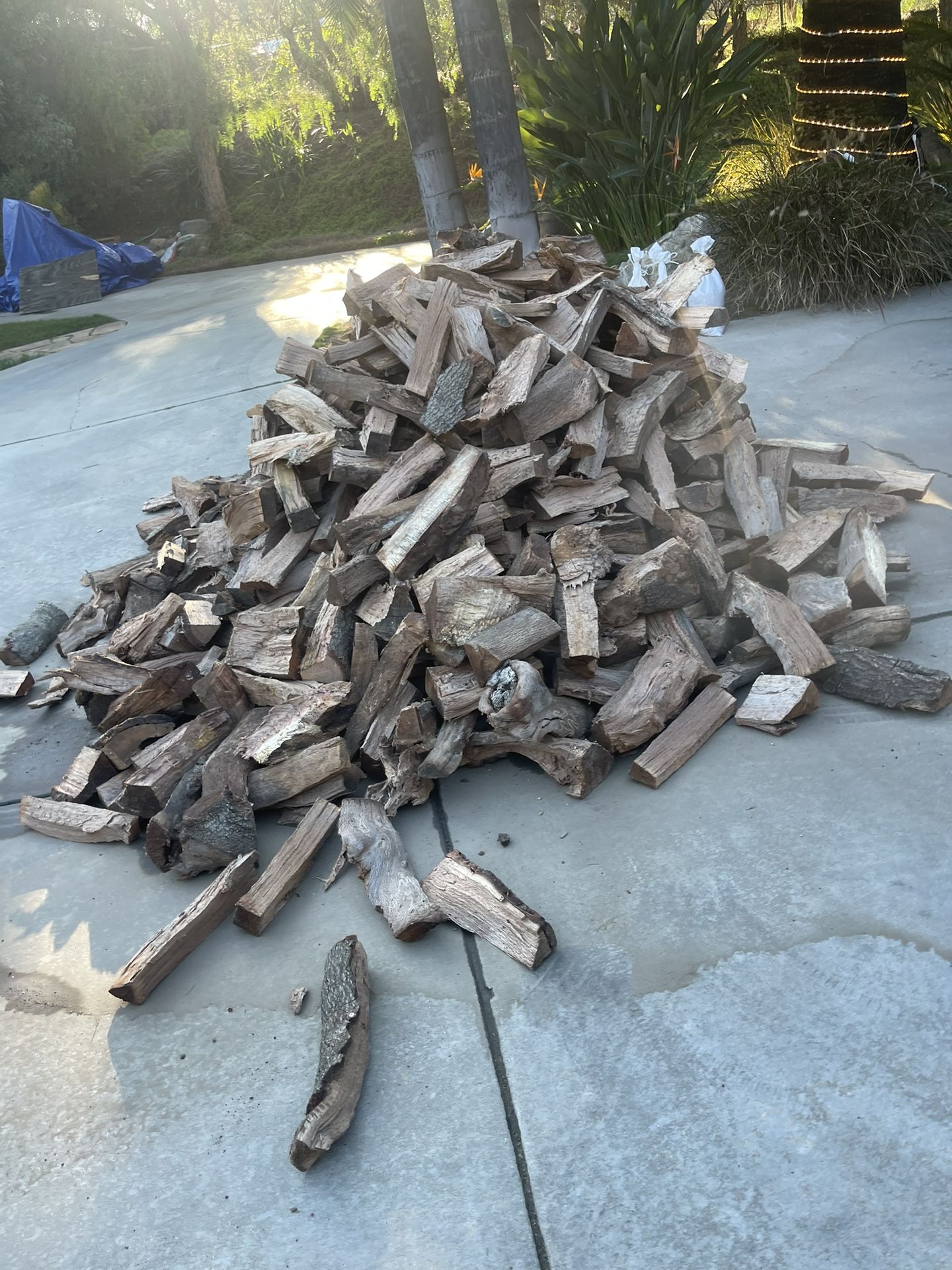 Oak And Eucalyptus Firewood