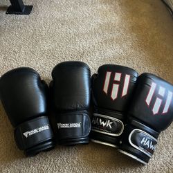 2 Pairs of Boxing Gloves (16oz and 10oz)