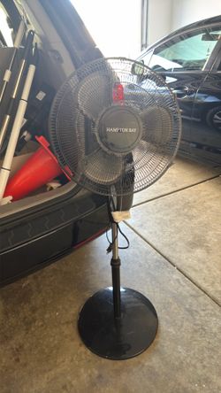 Fan