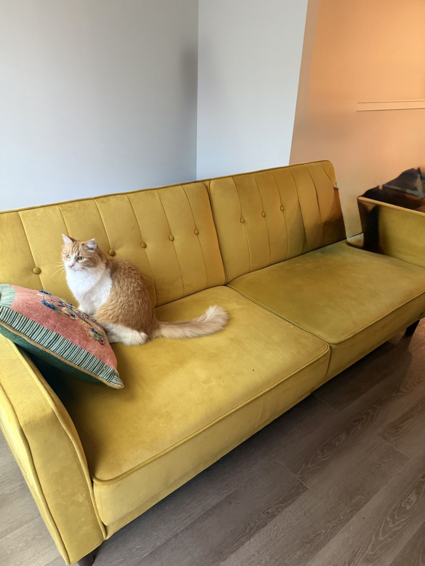 Mustard Velvet Couch - Futon Bed