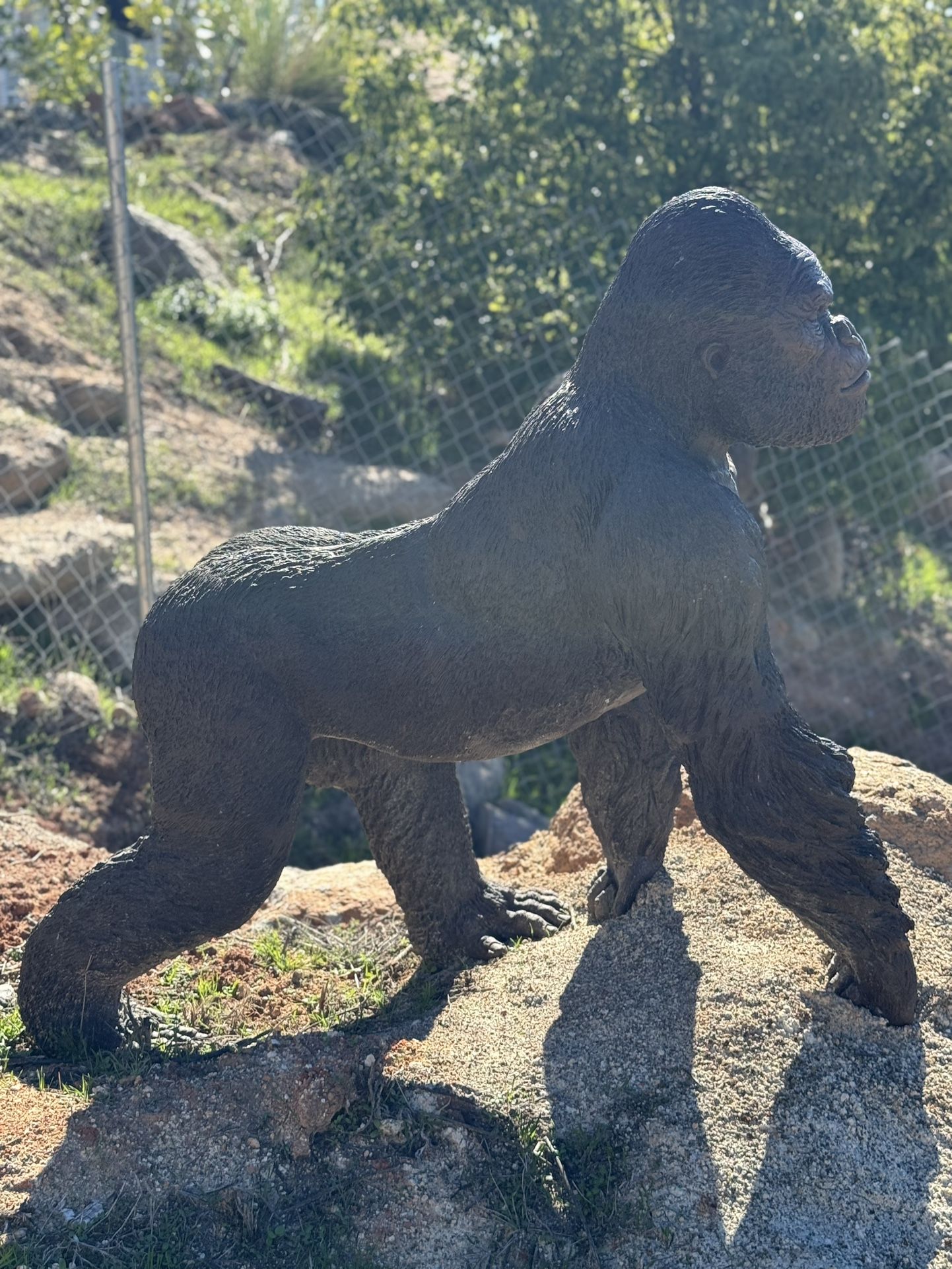 Life-size gorilla Bronze Statue