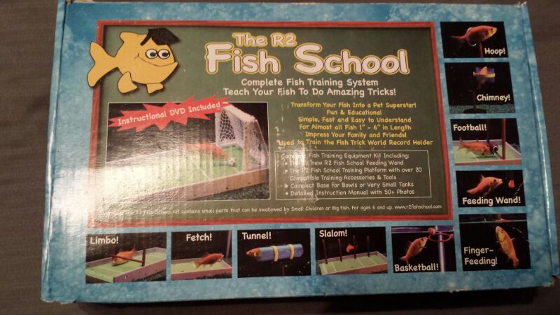 R2 fish school