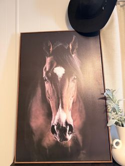 Horse Canvas