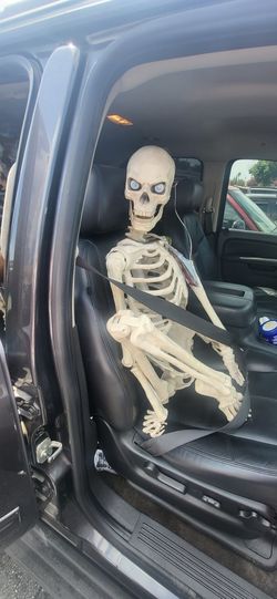 5ft Skelton
