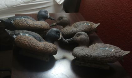 Duck decoys