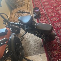 Electric Bike