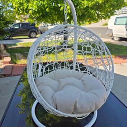 Cat swinging bed