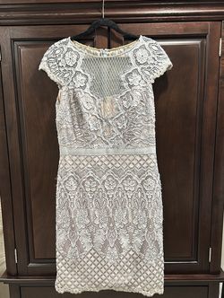Silver gray Tadashi Shoji lace dress (sz 14)