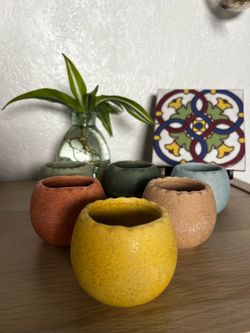 Set of 6 Small Ceramic Succulent Pots