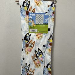 Bluey, Valentines Blanket