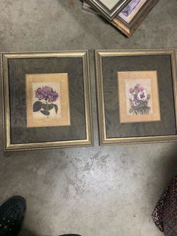 Pair of Framed Botanical Floral Prints