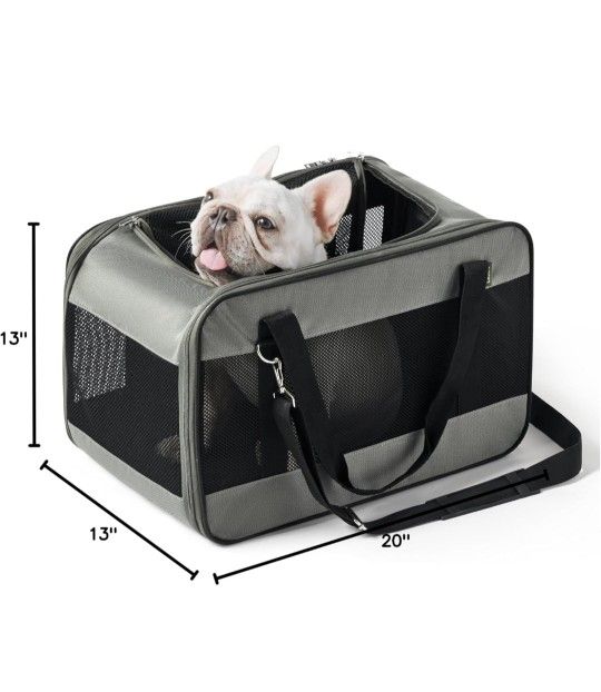 NEW Lesure Pet Carrier