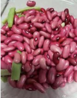 Frijoles