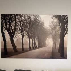 Large Forest Path Print- North Phoenix