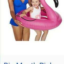 Children's: Flamingo Big Mouth Little Float & Arm Bands/Water Wings