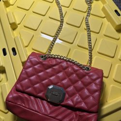 ALDO Cherry Red Crossbody Shoulder Chain Bag 