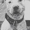 charlie