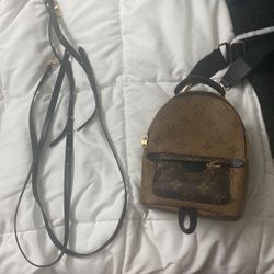 Palm springs online backpack dupe