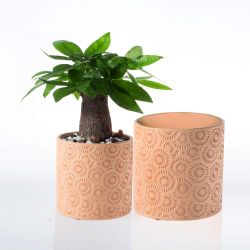 Brand New Hotsung Ceramic Flower Pot Garden Planters 6.6" and 5.6" Set of 2