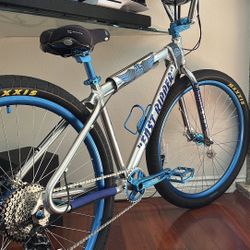 Custom 2024 Fast Ripper 29" wheel Bmx