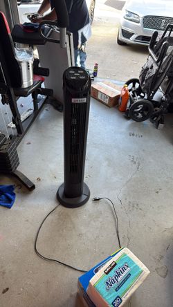 Fan