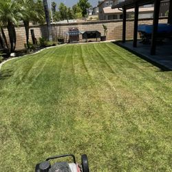 Cut Weeds And Grass