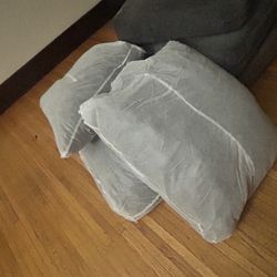 FREE COUCH 
