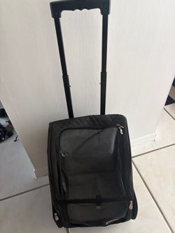 Dog luggage carry on