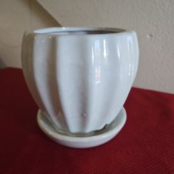 Ceramic White Pot "6" / Maceta De Cerámica:6"