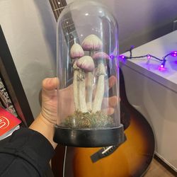 Mushroom Art Display Piece Figure