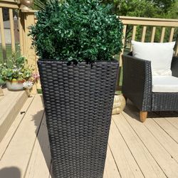 Very  Gorgeous Pots And  Plants