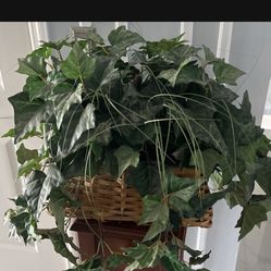 Beautiful Silk Plant In Wicker Basket