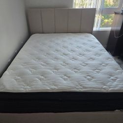 Queen Bed With Underneath Storage $500 OBO