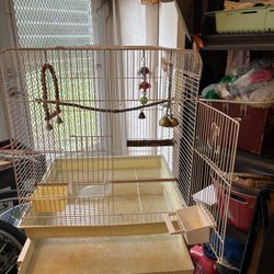 Bird Cage