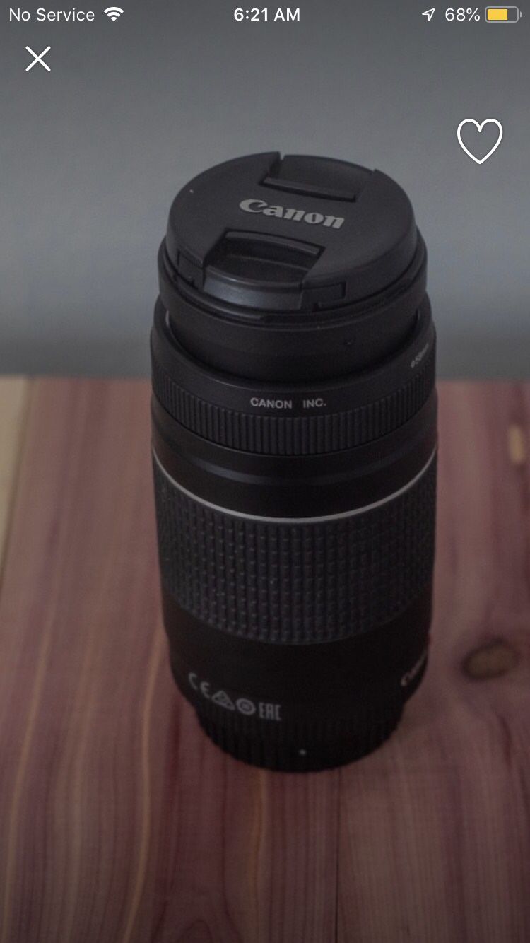 Canon 75-300mm Telephoto Lens